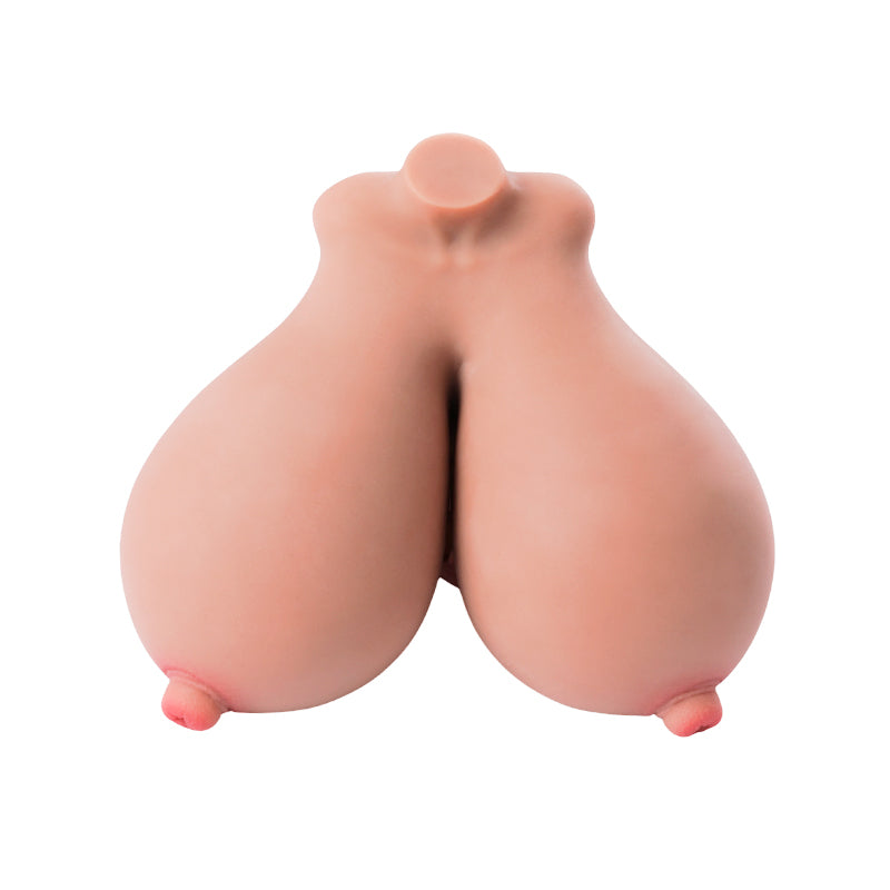 Bustia