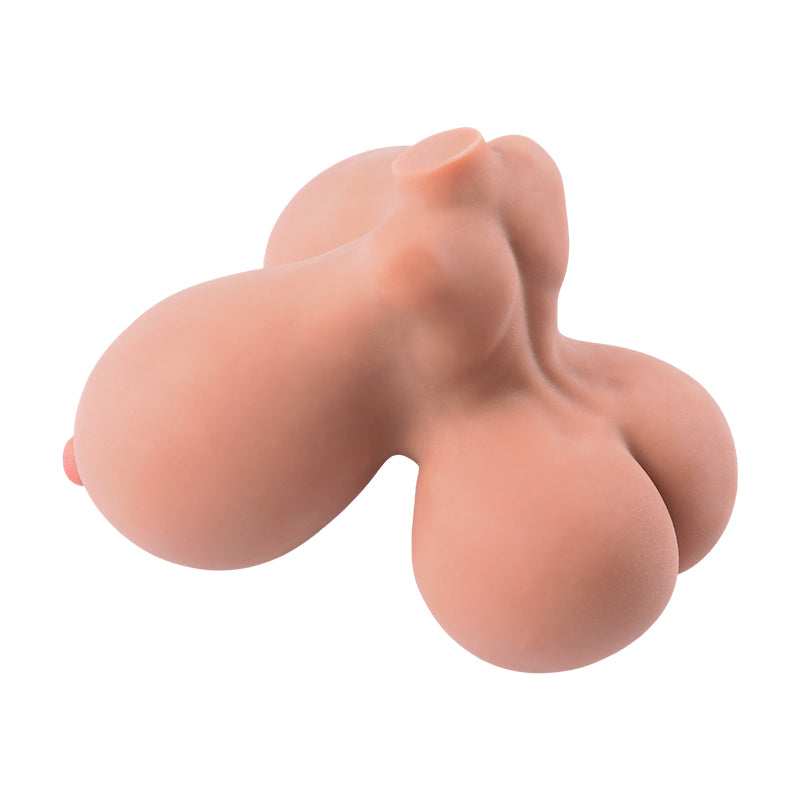 Bustia